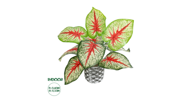 Artificial Garden CALADIUM 20891 Τεχνητό Διακοσμητικό Φυτό Τροπικό Φυτό Φ40 x Υ33cm