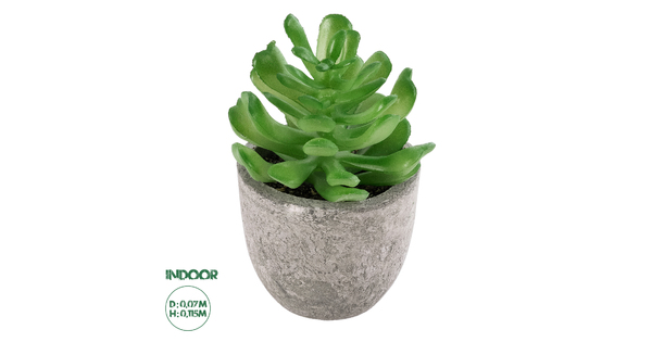 Artificial Garden SUCCULENT CRASSULA 21014 Διακοσμητικό Φυτό Παχύφυτο Κράσουλα Υ11.5cm