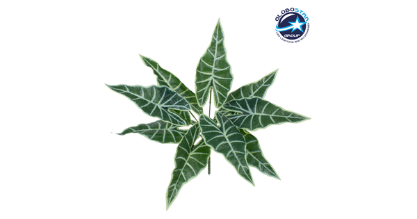 ALOCASIA 78225 Τεχνητό Φυτό Αλοκάσια - Μπουκέτο Διακοσμητικών Φυτών - Κλαδιών με Φύλλωμα Πράσινο Υ43cm