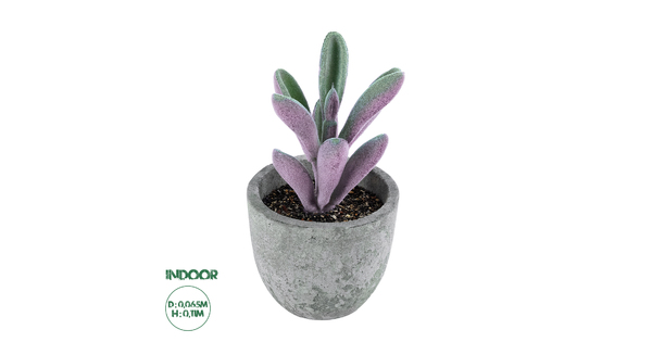 Artificial Garden SUCCULENT CRASULLA 21031 Διακοσμητικό Φυτό Παχύφυτο Κράσουλα Υ11cm