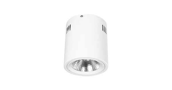 999-0003 Φωτιστικό Σποτ Οροφής Downlight 15W 1500lm 24° AC 220-240V IP20 Ψυχρό Λευκό 6000K
