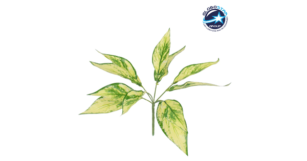 AUCUBA 78223 Τεχνητό Φυτό Κηληδωμένη Δάφνη - Μπουκέτο Διακοσμητικών Φυτών - Κλαδιών με Φύλλωμα Πράσινο - Κίτρινο Υ25cm