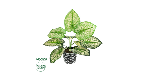 Artificial Garden CALADIUM 20889 Τεχνητό Διακοσμητικό Φυτό Τροπικό Φυτό Φ40 x Υ33cm