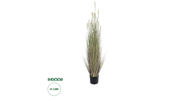 Artificial Garden BEIGE LAGURUS 21102 Διακοσμητικό Φυτό Μπεζ Λαγοουρά Υ140cm