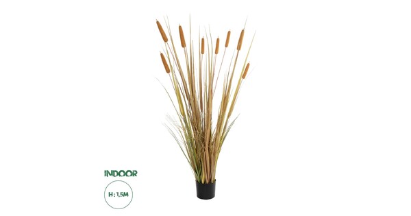 Artificial Garden TYPHA GRASS 21483 Τεχνητό Διακοσμητικό Φυτό Γρασίδι της Τύφας Μ70 x Π40 x Υ150cm