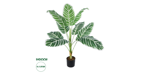 Artificial Garden WHITE ZEBRA 20943 Τεχνητό Διακοσμητικό Φυτό Λευκή Ζέβρα Υ90cm