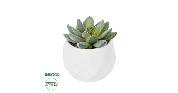 Artificial Garden SUCCULENT SEDEVERIA POTTED PLANT 20987 Διακοσμητικό Φυτό Σεδεβέρια Φ7 x Υ7,5cm