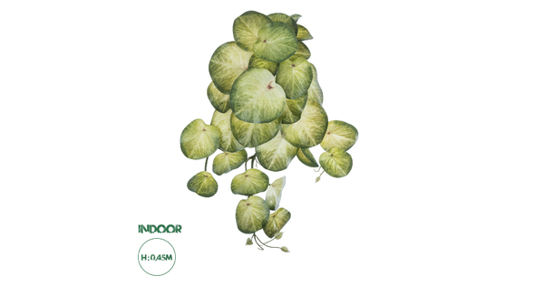 Artificial Garden SYNGONIUM HANGING PLANT 20607 Τεχνητό Διακοσμητικό Κρεμαστό Φυτό Συγκόνιο Υ45cm