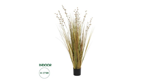 Artificial Garden CRASPEDIA GRASS 21480 Τεχνητό Διακοσμητικό Φυτό Μπεζ & Πράσινο Κρασπέδια Μ90 x Π60 x Υ175cm