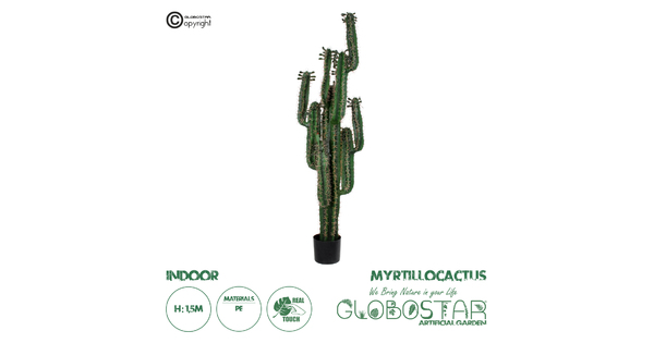 Artificial Garden MYRTILLOCACTUS 20128 Τεχνητό Διακοσμητικό Φυτό Μυρτιλλόκακτος Υ150cm
