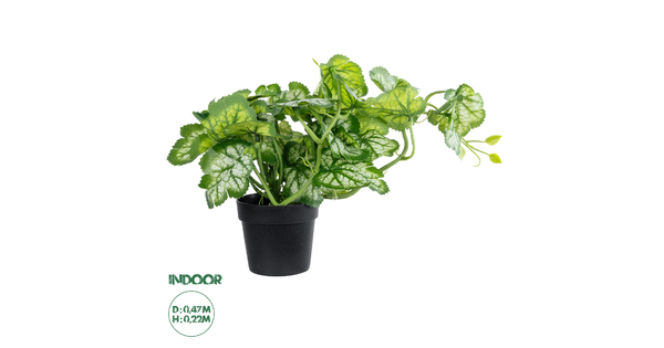 Artificial Garden BEGONIA PLANT 20958 Διακοσμητικό Φυτό Βιγόνια Φ47 x Υ22cm