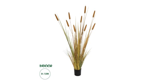 Artificial Garden TYPHA GRASS 21484 Τεχνητό Διακοσμητικό Φυτό Γρασίδι της Τύφας Μ100 x Π35 x Υ180cm