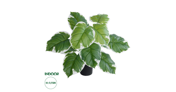 Artificial Garden WHITE HOSTA 20931 Διακοσμητικό Φυτό Λευκή  Χόστα Υ55cm