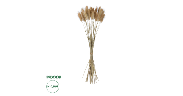 Artificial Garden REAL DRIED BEIGE WHEAT BUNCH  21219 Αποξηραμένο Διακοσμητικό Μπουκέτο Σιταριού Y50cm