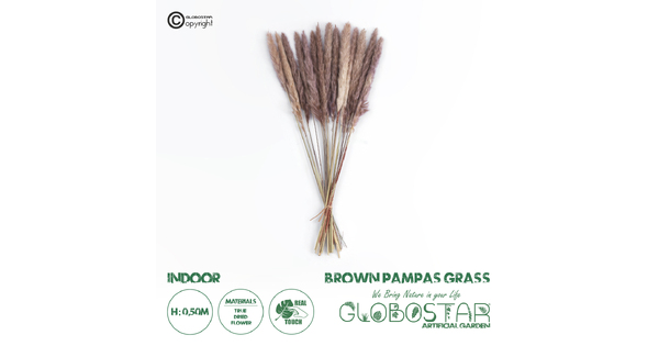 Artificial Garden REAL DRIED BROWN PAMPAS GRASS BUNCH 21215 Αποξηραμένο Διακοσμητικό Μπουκέτο Pampas Kάφε Y50cm - Σετ 14 τμχ