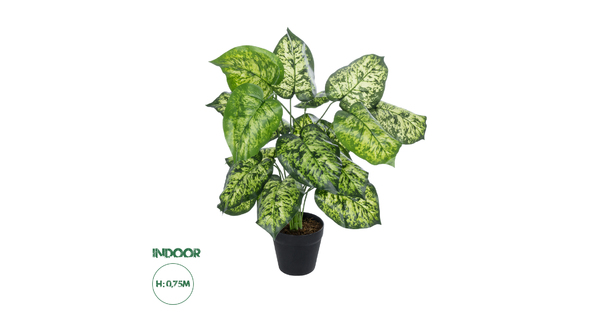 Artificial Garden DIEFFENBACHIA 20914 Διακοσμητικό Φυτό Υ75cm