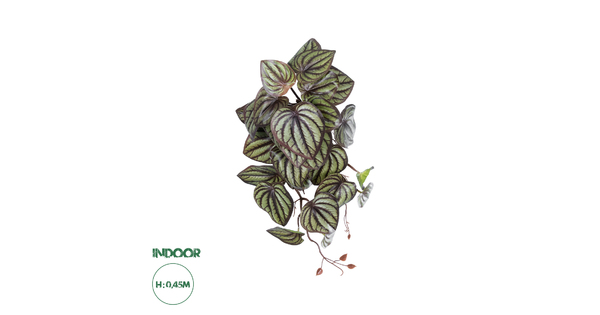 Artificial Garden PEPEROMIA HANGING PLANT 20602 Τεχνητό Διακοσμητικό Κρεμαστό Φυτό Πεπερόμια Υ45cm