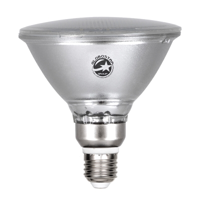 Λάμπα LED E27 PAR38 IP65