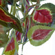 Artificial Garden COLEUS HANGING BRANCH 20255 Τεχνητό Διακοσμητικό Κρεμαστό Φυτό Κολέος Υ90cm
