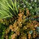 Artificial Garden VARIOUS PLANTS ROUND WALL DISC 20688 Τεχνητό Διακοσμητικό Στρογγυλό Πάνελ Φυλλωσιάς - Κάθετος Κήπος Μιξ Μ50 x Π50 x Υ23cm - 6