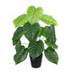 Artificial Garden PHILODENDRON 20910 Διακοσμητικό Φυτό Φυλλόδεντρο Υ75cm - 2