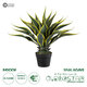 Artificial Garden SISAL AGAVE 20081 Τεχνητό Διακοσμητικό Φυτό Αγαύη Υ60cm