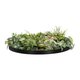 Artificial Garden VARIOUS PLANTS ROUND WALL DISC 20690 Τεχνητό Διακοσμητικό Στρογγυλό Πάνελ Φυλλωσιάς - Κάθετος Κήπος Μιξ Μ80 x Π80 x Υ20cm - 3