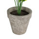Artificial Garden YELLOW HOSTA 20899 Τεχνητό Διακοσμητικό Φυτό Κίτρινη Χόστα Υ40cm - 4