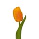 Artificial Garden ORANGE TULIP BRANCH 21202 Τεχνητό Διακοσμητικό Κλαδί Πορτοκαλί Τουλίπα Y37cm - 3