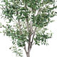 Artificial Garden OLIVE TREE 20429 Τεχνητό Διακοσμητικό Δέντρο Ελιά Υ240cm - 4