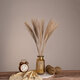 MISCANTHUS 36535 Αποξηραμένο Φυτό Μίσχανθος - Μπουκέτο Διακοσμητικών Κλαδιών Μπεζ Υ60cm