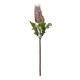 Artificial Garden PURPLE STIPA FRUIT BRANCH 21375 Τεχνητό Διακοσμητικό Κλαδί Στίπα  Y69cm - 2