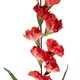 Artificial Garden RED GLADIOLUS FLOWER BRANCH 21396 Τεχνητό Διακοσμητικό Κλαδί Γλαδιόλα Y116cm - 3