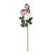 Artificial Garden PINK DAMASK CLIMBING ROSE BRANCH 21199 Τεχνητό Διακοσμητικό Κλαδί Τριαντάφυλλο Σαμπανιζέ Y55cm - 2