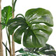 Artificial Garden MONSTERA 20006 Τεχνητό Διακοσμητικό Φυτό Μονστέρα Υ150cm - 3