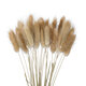 Artificial Garden REAL DRIED BEIGE WHEAT BUNCH  21219 Αποξηραμένο Διακοσμητικό Μπουκέτο Σιταριού Y50cm - 3
