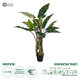 Artificial Garden RAINBOW TARO 20207 Τεχνητό Διακοσμητικό Φυτό Κολοκασία Υ170cm