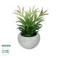 Artificial Garden SUCCULENT CRASSULA POTTED PLANT 21038 Διακοσμητικό Φυτό Κρασούλα  Φ10 x Υ17cm