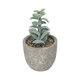 Artificial Garden SUCCULENT SEDEVERIA POTTED PLANT 21027 Διακοσμητικό Φυτό Σεδεβέρια  Φ5 x Υ11cm - 2