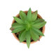 Artificial Garden SUCCULENT ALOE POTTED PLANT 21040 Διακοσμητικό Φυτό Αλόη Φ9 x Υ14cm - 3