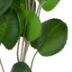 Artificial Garden POLYSCIAS BALFOURIANA TREE 20374 Τεχνητό Διακοσμητικό Φυτό Πολυσκιά Υ110cm - 3