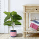 Artificial Garden FICUS RELIGIOSA TREE 20376 Τεχνητό Διακοσμητικό Φυτό Ιερή Συκή Υ50cm - 7