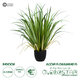 Artificial Garden ACORUS GRAMINEUS 20103 Τεχνητό Διακοσμητικό Φυτό Άκορος Υ90cm