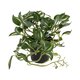 Artificial Garden ZEBRINA PLANT 20960 Διακοσμητικό Φυτό Ζεμπρίνα Φ45 x Υ22cm - 2