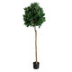 Artificial Garden LAUREL 20085 Τεχνητό Διακοσμητικό Φυτό Δάφνη Υ150cm - 2