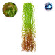 78057 Τεχνητό Κρεμαστό Φυτό Διακοσμητικών Κλαδιών με Πράσινο και Καφέ Φύλλωμα Ευρωπαϊκή Τέφρα Μ30 x Y100 x Π10cm
