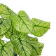 Artificial Garden CALADIUM 20913 Διακοσμητικό Φυτό Καλάντιουμ Υ75cm - 3
