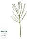 Artificial Garden BIG SPROUT BLOSSOM BRANCH 21461 Τεχνητό Διακοσμητικό Κλαδί Πράσινο Λάχανο Y150cm
