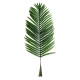 Artificial Garden ARECA PALM LEAF 20176 - Τεχνητό Διακοσμητικό Φύλο Φοινικόδεντρου Αρέκα Π45 x Υ125cm - 2