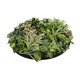 Artificial Garden VARIOUS PLANTS ROUND WALL DISC 20690 Τεχνητό Διακοσμητικό Στρογγυλό Πάνελ Φυλλωσιάς - Κάθετος Κήπος Μιξ Μ80 x Π80 x Υ20cm - 4